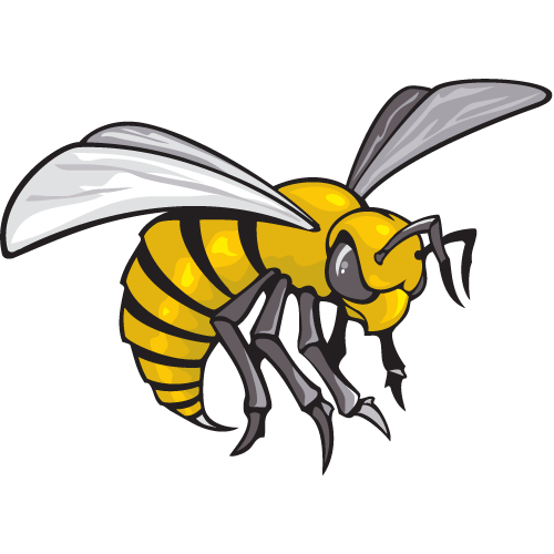 Online College Basketball