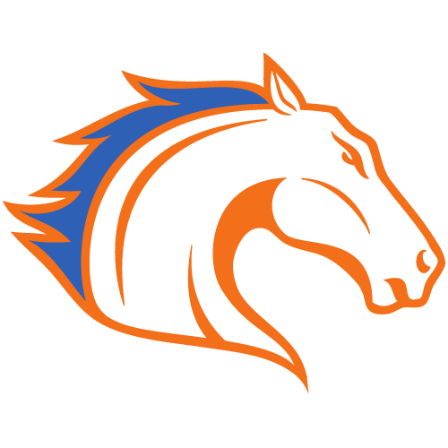 Online College Basketball