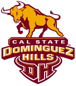 Online College Basketball