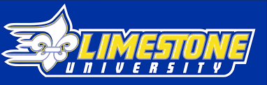 Online College Basketball