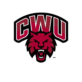 Online College Basketball