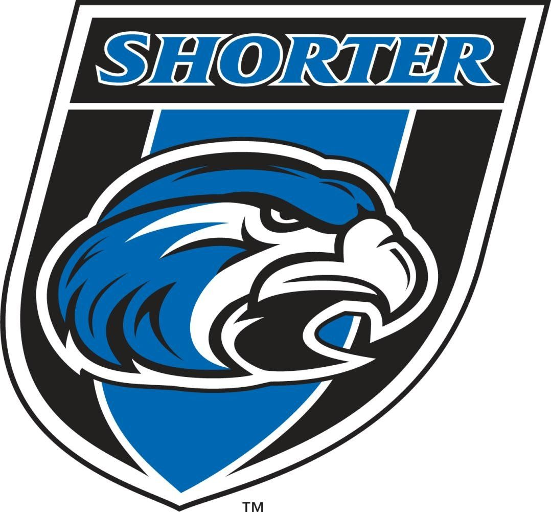 Online College Basketball