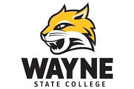 Online College Basketball