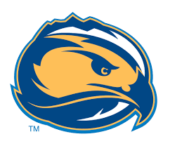 Online College Basketball