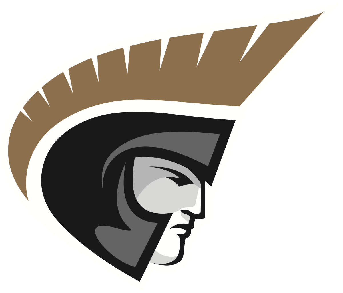 Online College Basketball