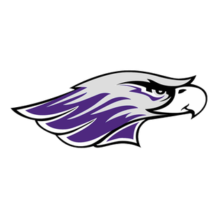 Online College Basketball