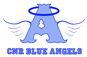 Online College Basketball