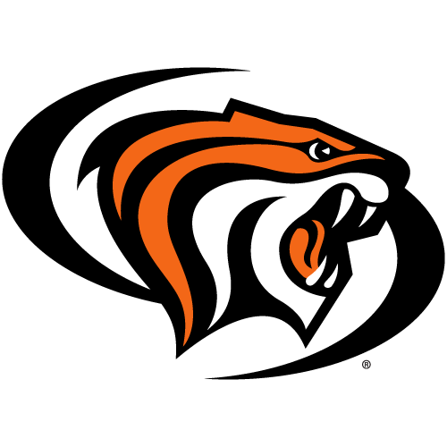 Online College Basketball