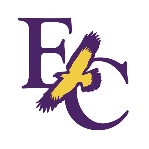 Online College Basketball