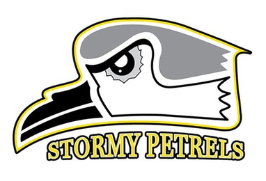 Online College Basketball