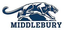 Online College Basketball