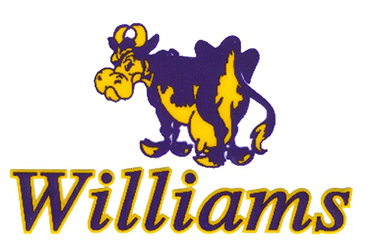 Online College Basketball