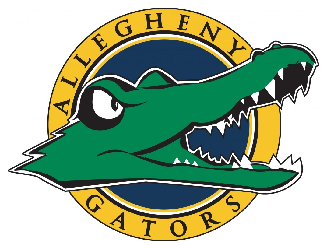 Online College Basketball