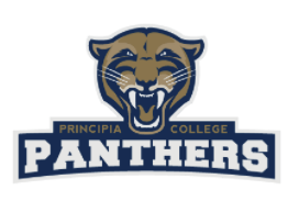 Online College Basketball